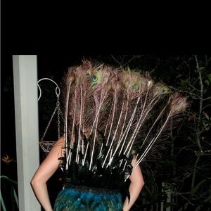 Peacock costume with accessories